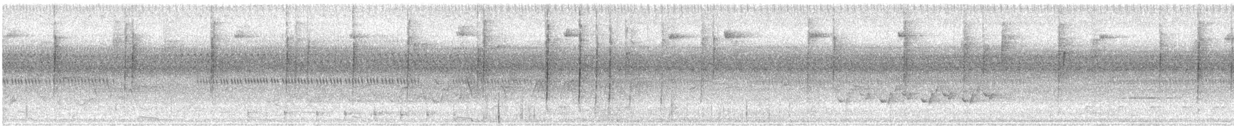 Cuculo americano - ML640044393