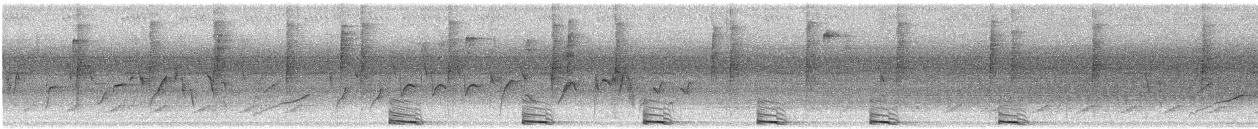 Cuculo americano - ML640044394