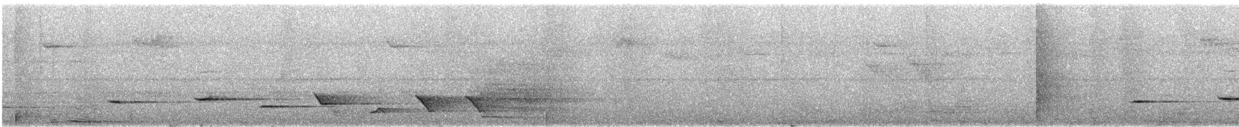 Variable Shrikethrush - ML640044575