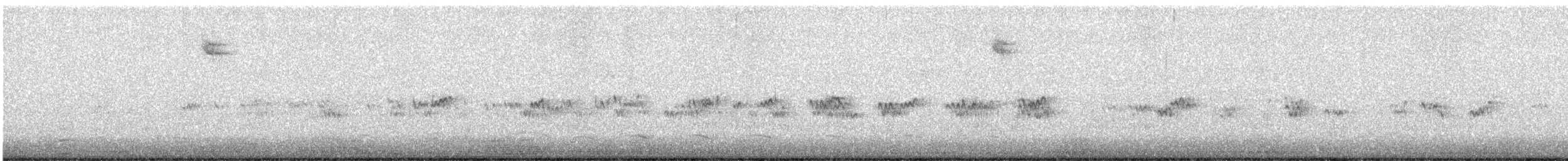 Least Sandpiper - ML640046068