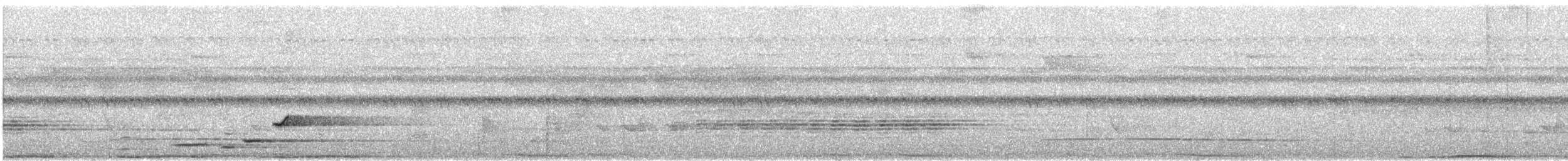 Variable Shrikethrush - ML640046254