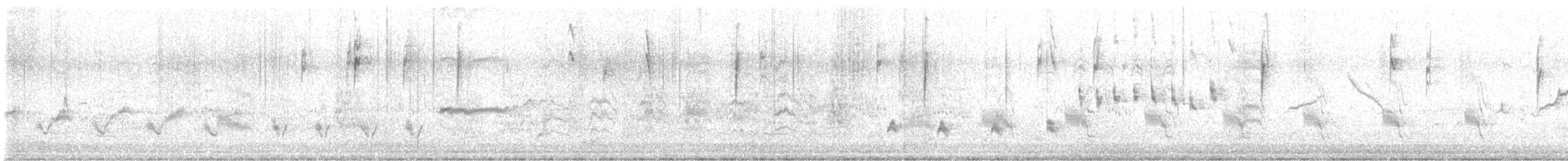 マミジロマネシツグミ - ML640047041