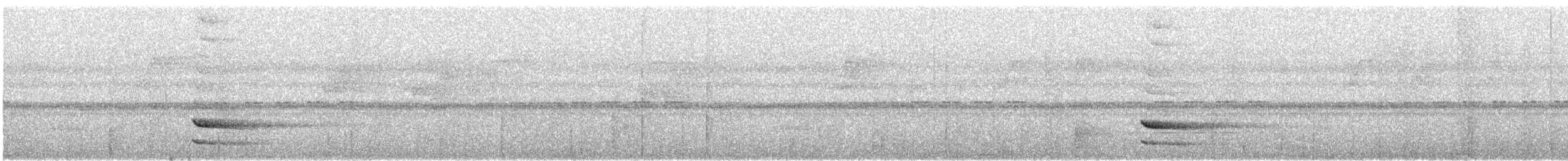 Дивоптах-білозір золотоспинний - ML640047042