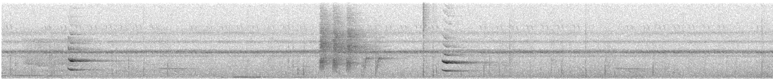 Дивоптах-білозір золотоспинний - ML640047043