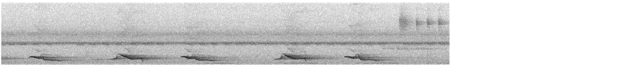 Медівник рогодзьобий - ML640047329