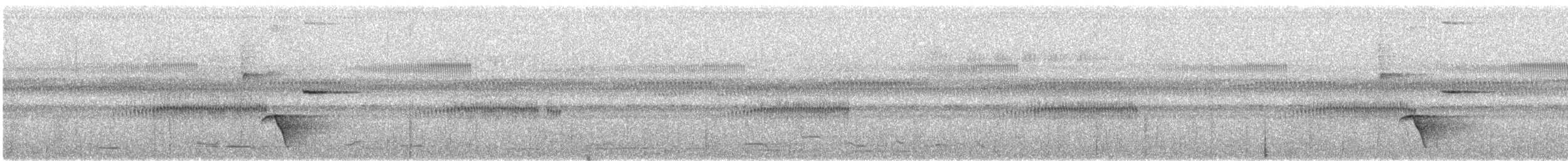 White-bellied Thicket-Fantail - ML640047359