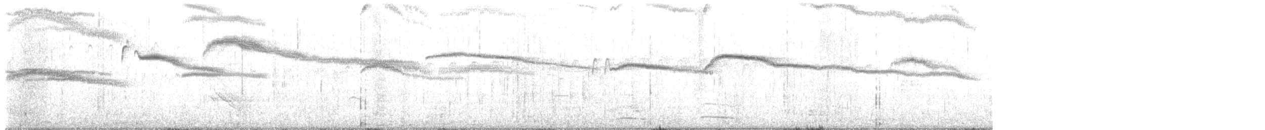 Pigeon Guillemot - ML640047734