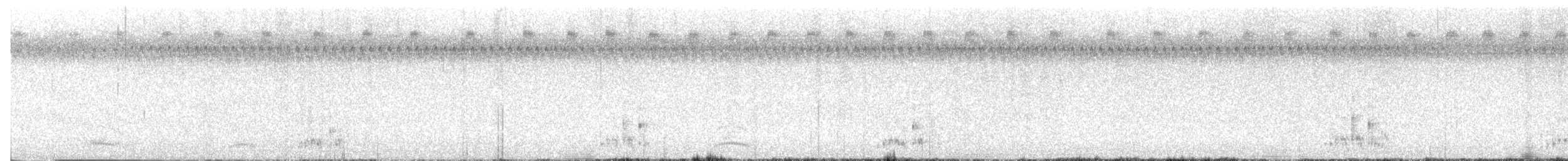 Black-billed Cuckoo - ML640048904