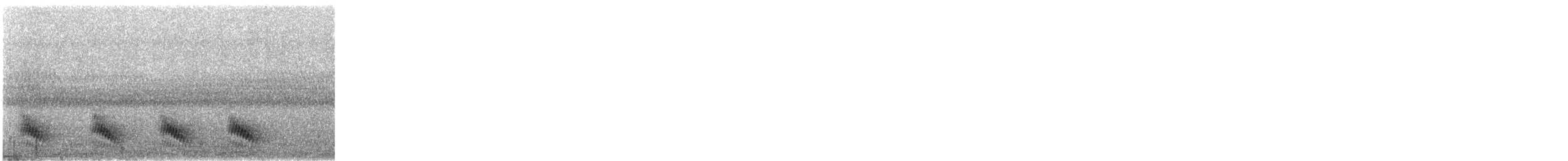 Дивоптах-білозір золотоспинний - ML640052461