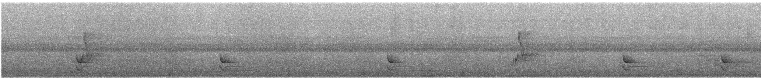 Дивоптах-білозір золотоспинний - ML640052462