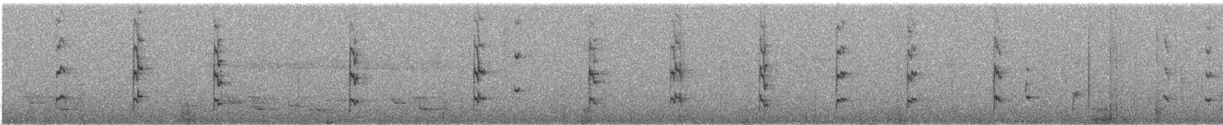 Dimorphic Fantail - ML640053080