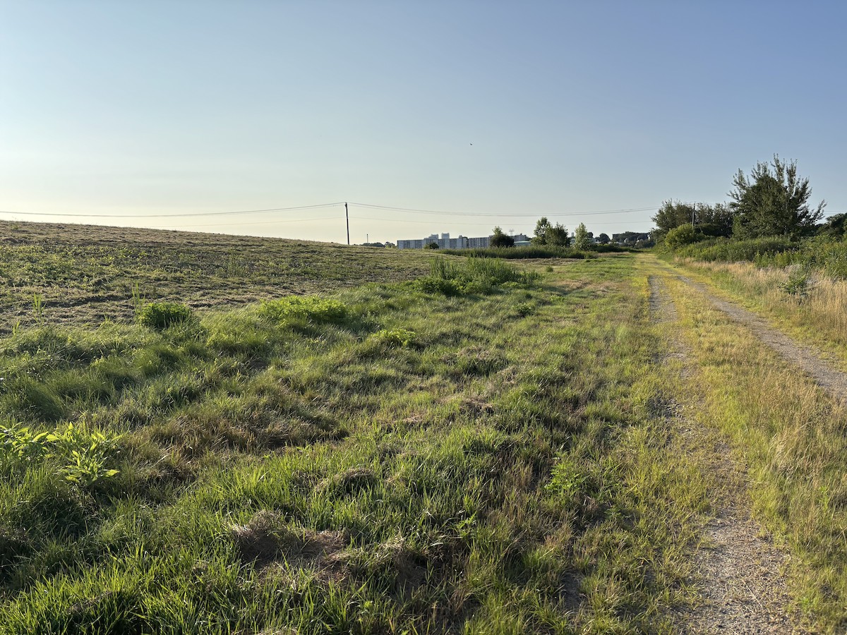 null - ML640053276