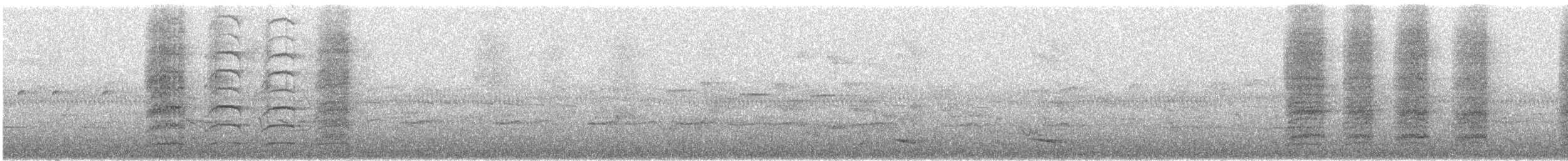 Yellow-browed Melidectes - ML640053439