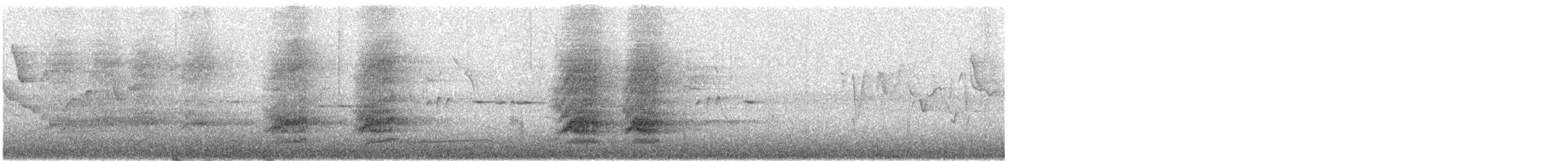 Greater Lophorina - ML640053464
