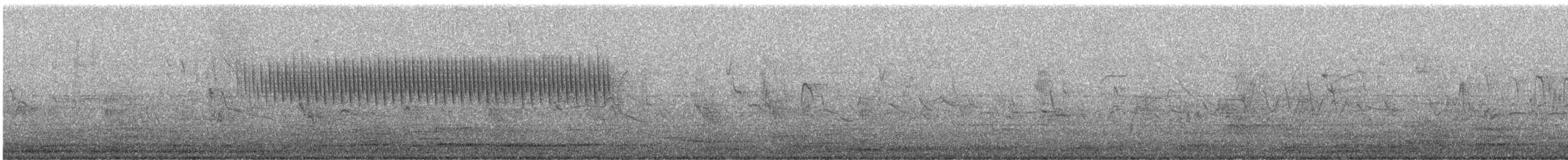 strnádka vrabcovitá - ML640053787