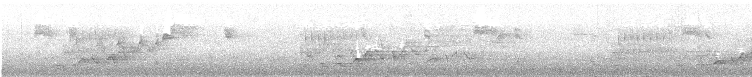 null - ML640053924