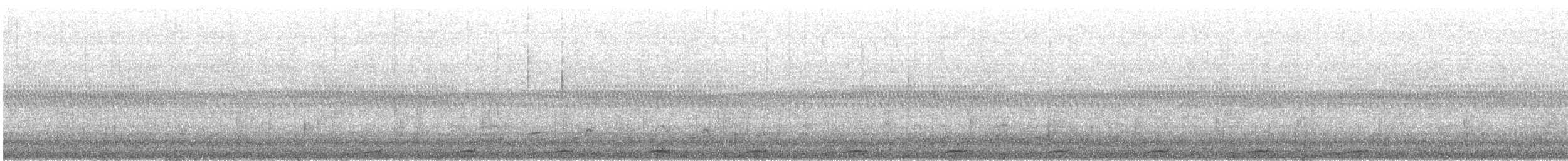 Gallicolombe de Beccari - ML640054292