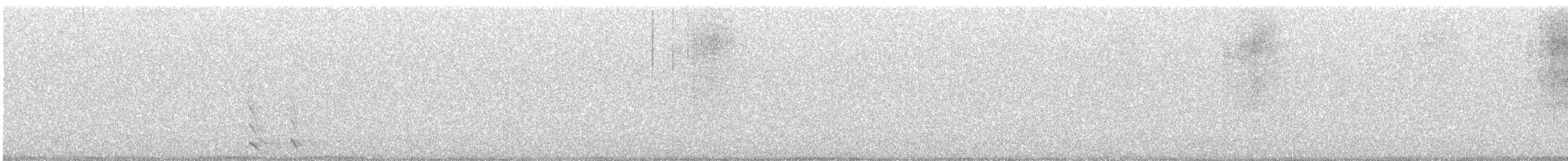 Northern Saw-whet Owl - ML640054346