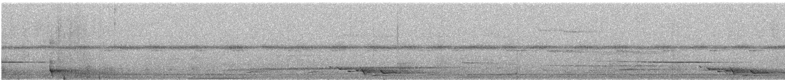 Crinkle-collared Manucode - ML640055235