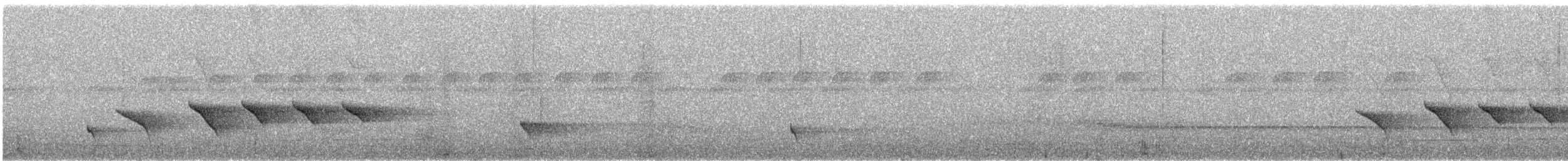 White-faced Robin - ML640055276