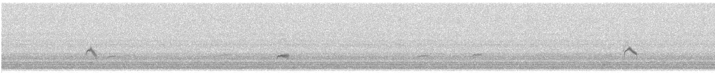 Gray-cheeked Thrush - ML640055409