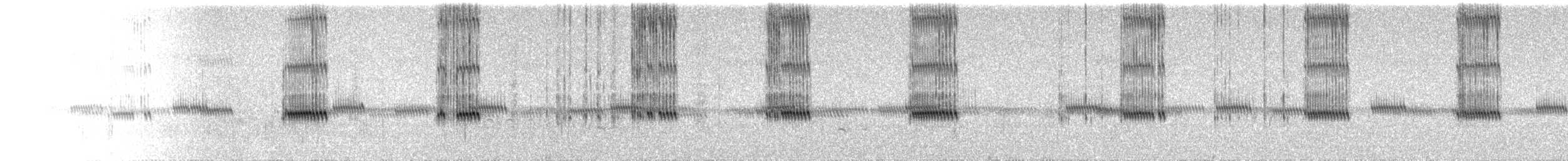 Long-chirp Field Cricket - ML640056770