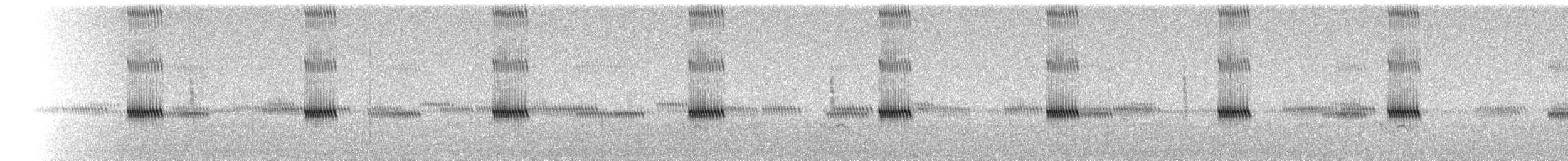 Long-chirp Field Cricket - ML640056771