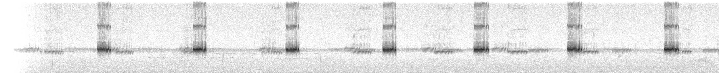 Long-chirp Field Cricket - ML640056773