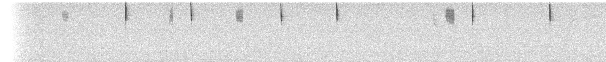 Savannah Sparrow (Belding's) - ML640057625