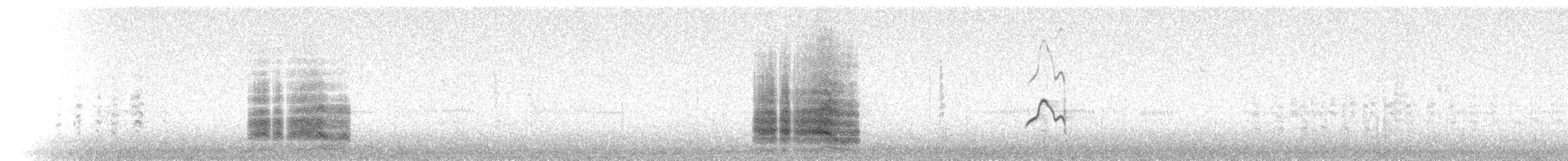 Caspian Tern - ML640057946