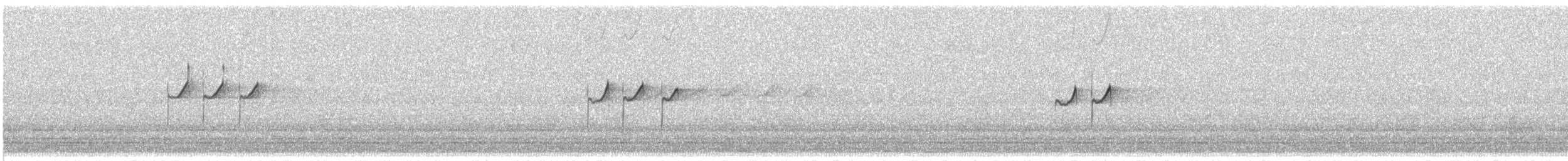 Solitary Sandpiper - ML640058702