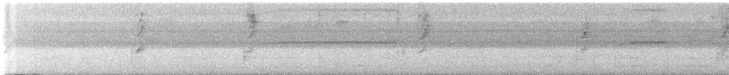 Troglodyte à poitrine tachetée - ML640059638