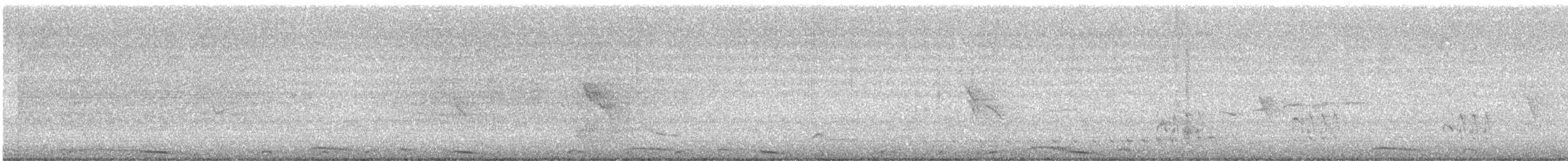 Pale-vented Pigeon - ML640061355