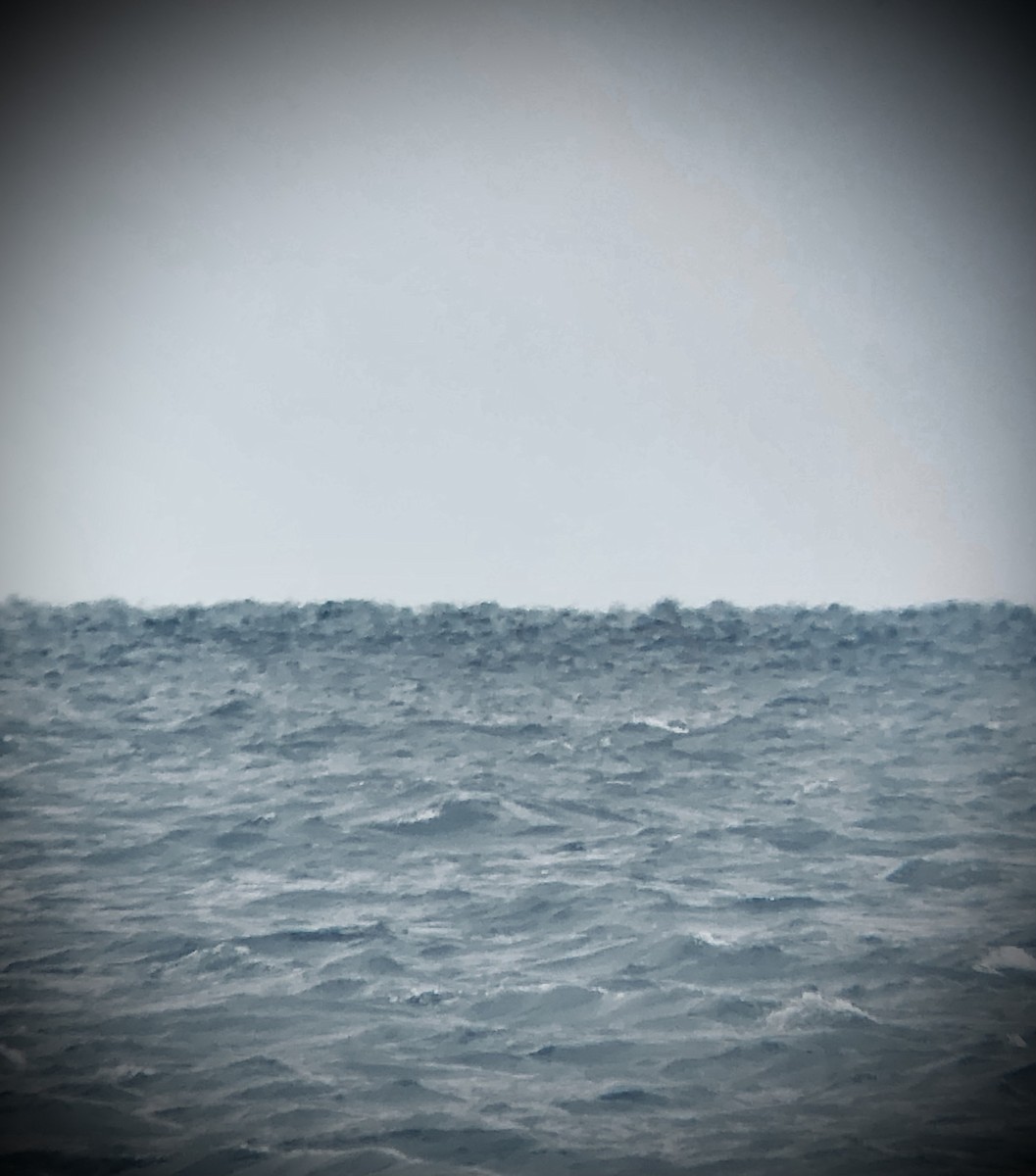 null - ML640061730