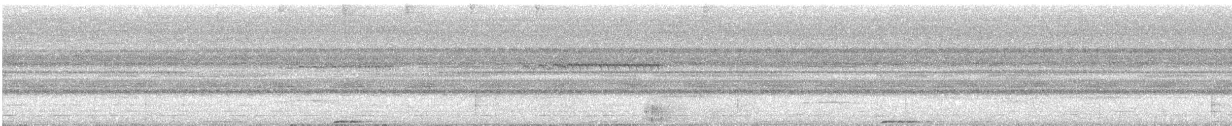 Rufous Motmot - ML640061840
