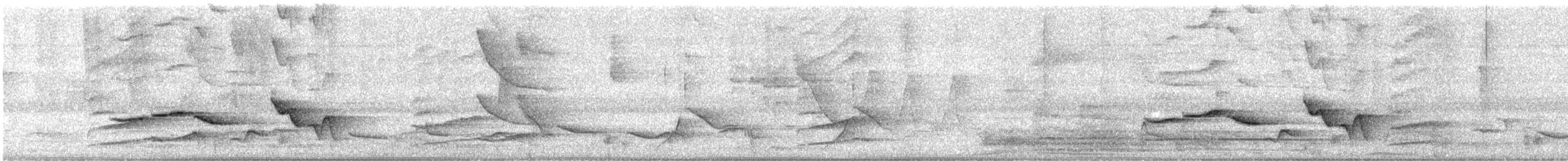 Troglodyte à poitrine tachetée - ML640062335