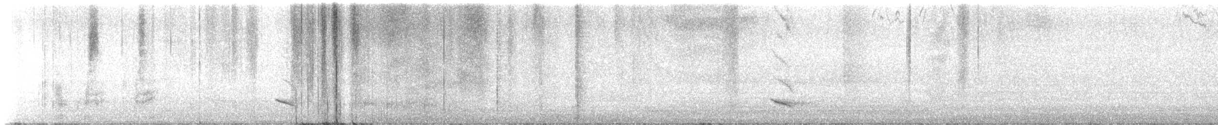 Northern Mockingbird - ML640062571