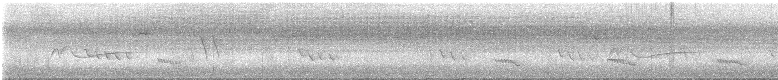 Eastern Wood-Pewee - ML640063709