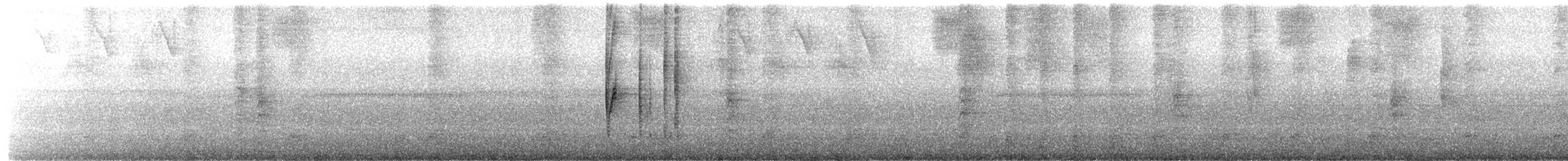 Brown Violetear - ML640064521