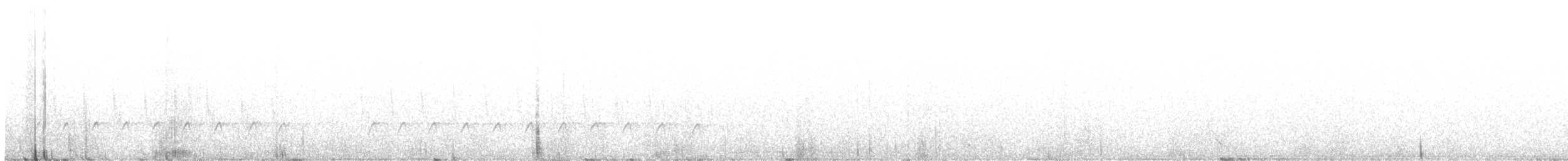 Хар тоншуул - ML640068931