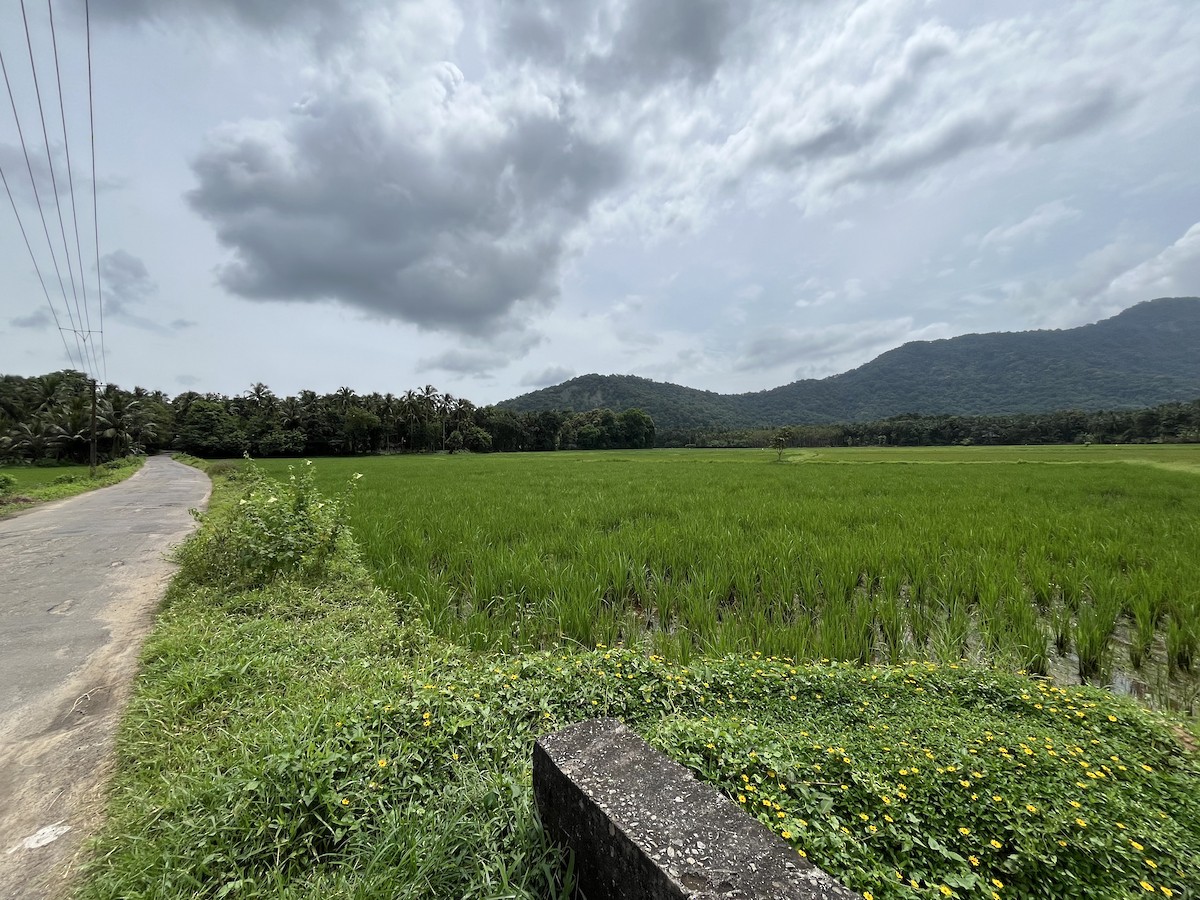 null - ML640070722