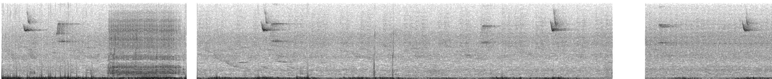 Blaukopfpitpit - ML640072128