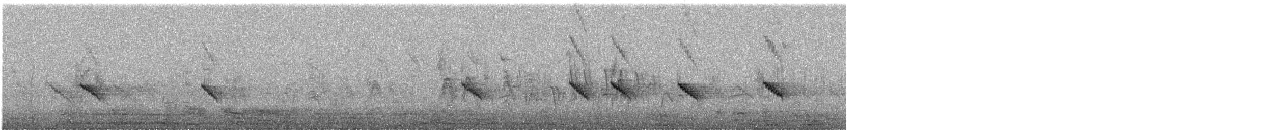 Grayish Baywing - ML640072536
