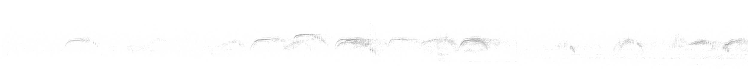 Common Swift - ML640073161