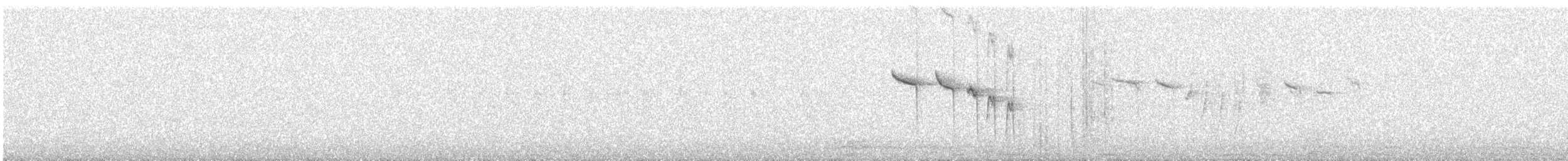 Red-tailed Comet - ML640073357