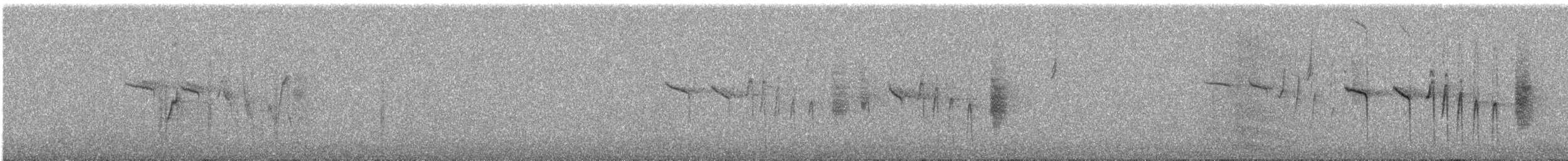 Red-tailed Comet - ML640073501