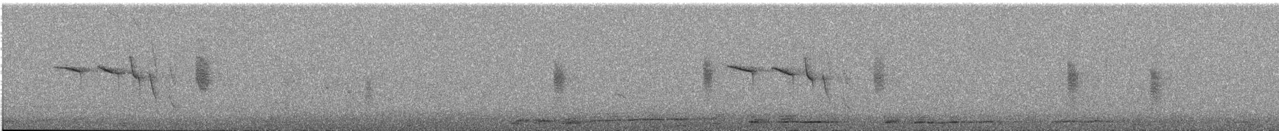 Red-tailed Comet - ML640073502