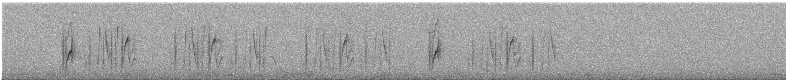 Red-tailed Comet - ML640073503