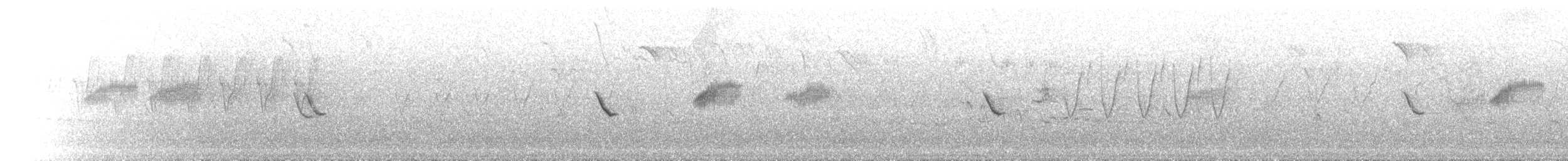 Gray Bushchat - ML640074692