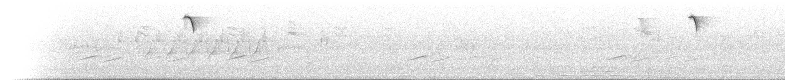 Zigolo muciatto - ML640074929